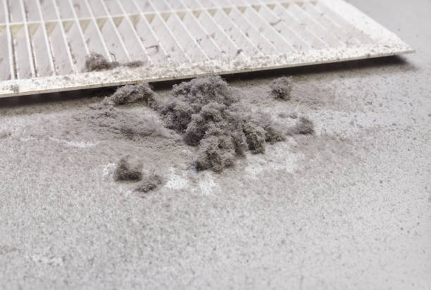 Best Affordable Duct Cleaning Services  in Morrow, GA