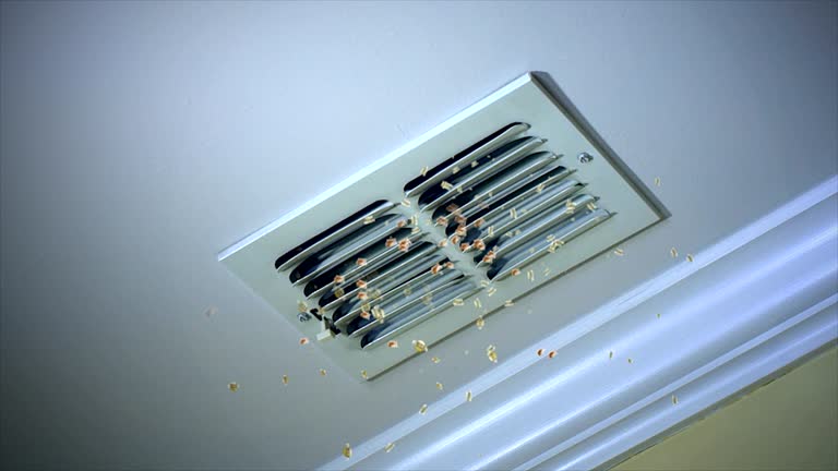 Best Air Duct Inspection  in Morrow, GA